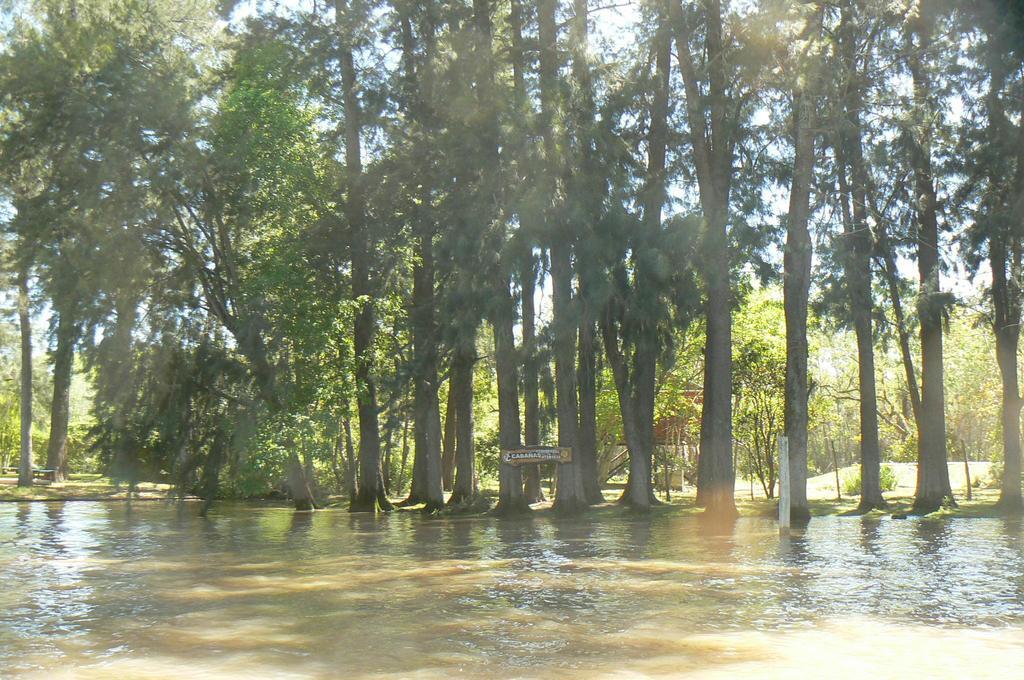 Posada Barlovento Tigre Phòng bức ảnh