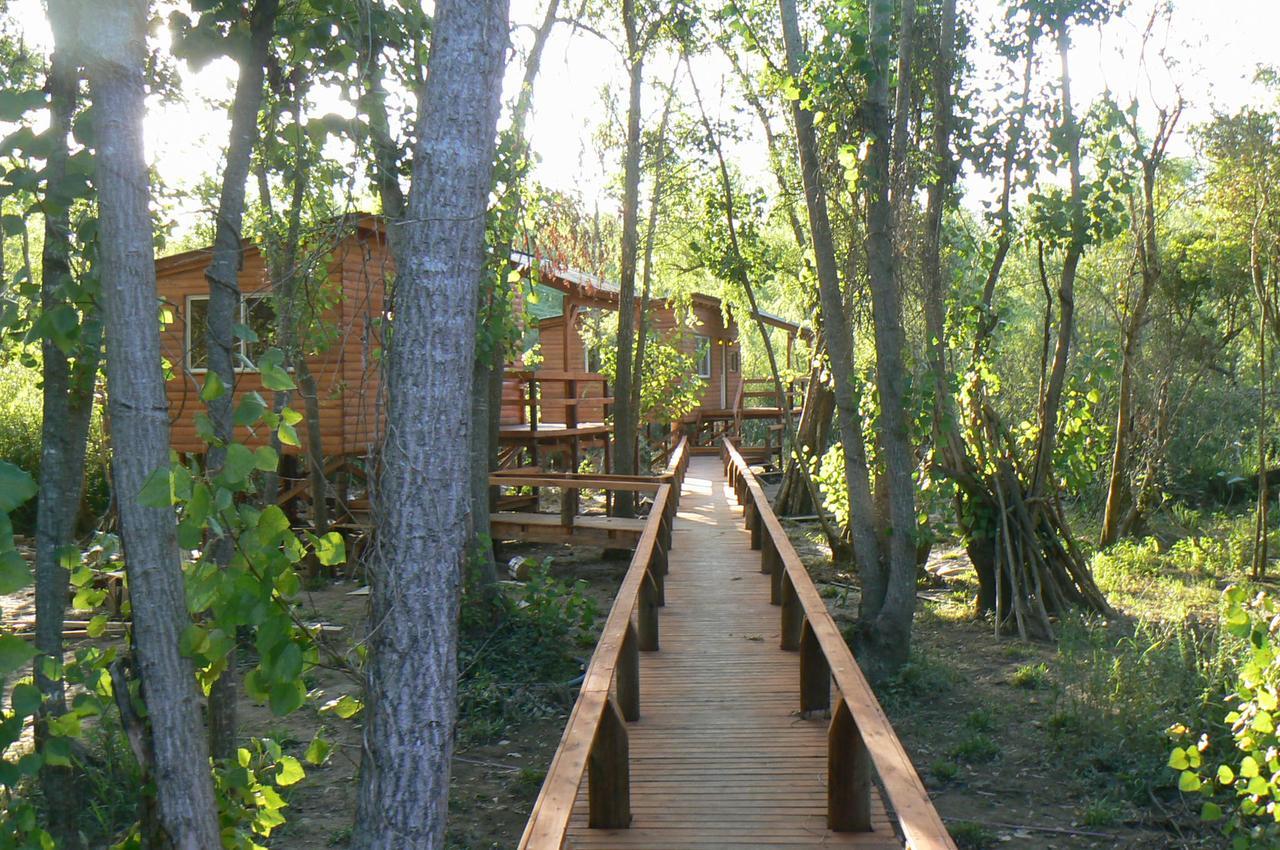 Posada Barlovento Tigre Ngoại thất bức ảnh